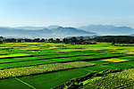 田园风光