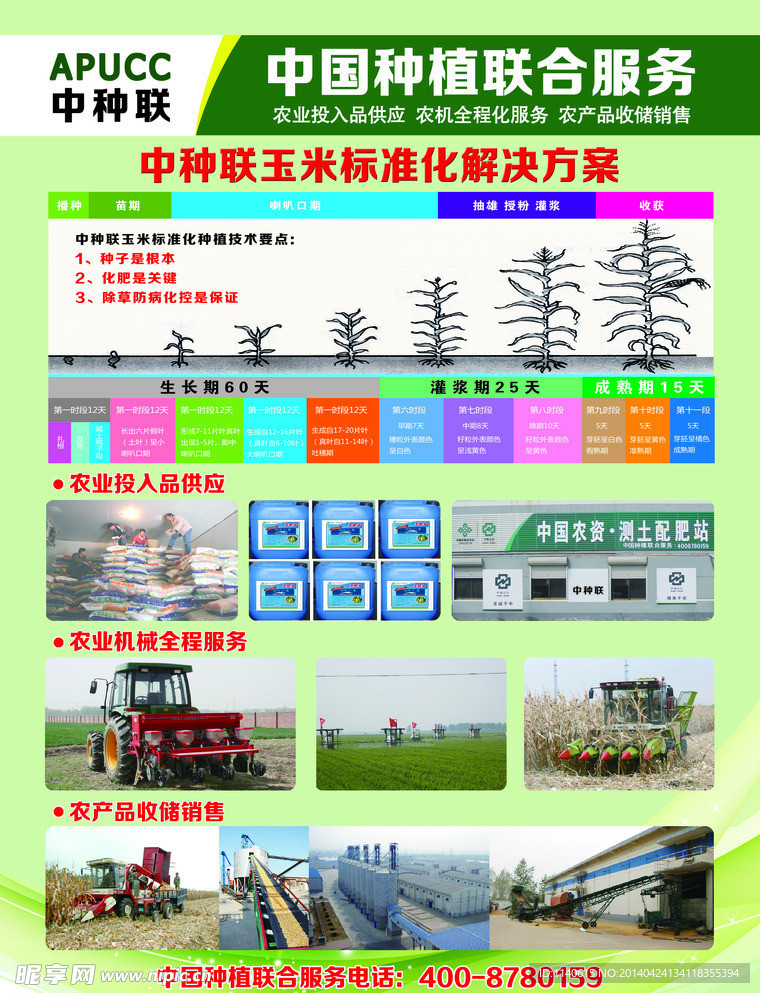 中种联