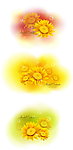 花纹 浪漫花纹