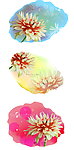 花纹 浪漫花纹