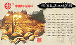 百年皖酒 酒文化