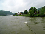莱茵河风景