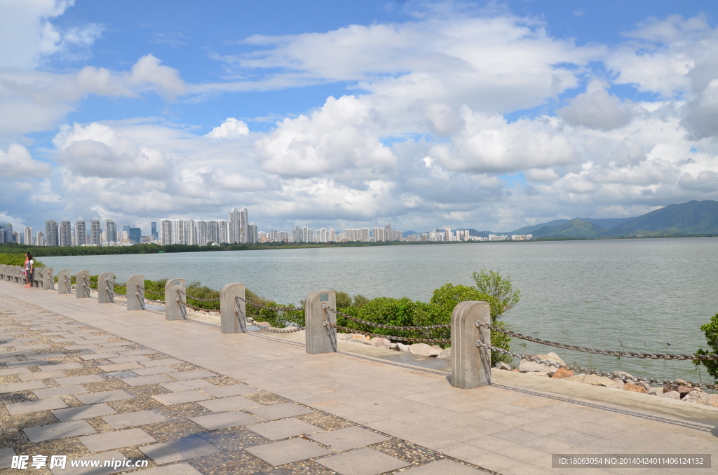 红树林公园