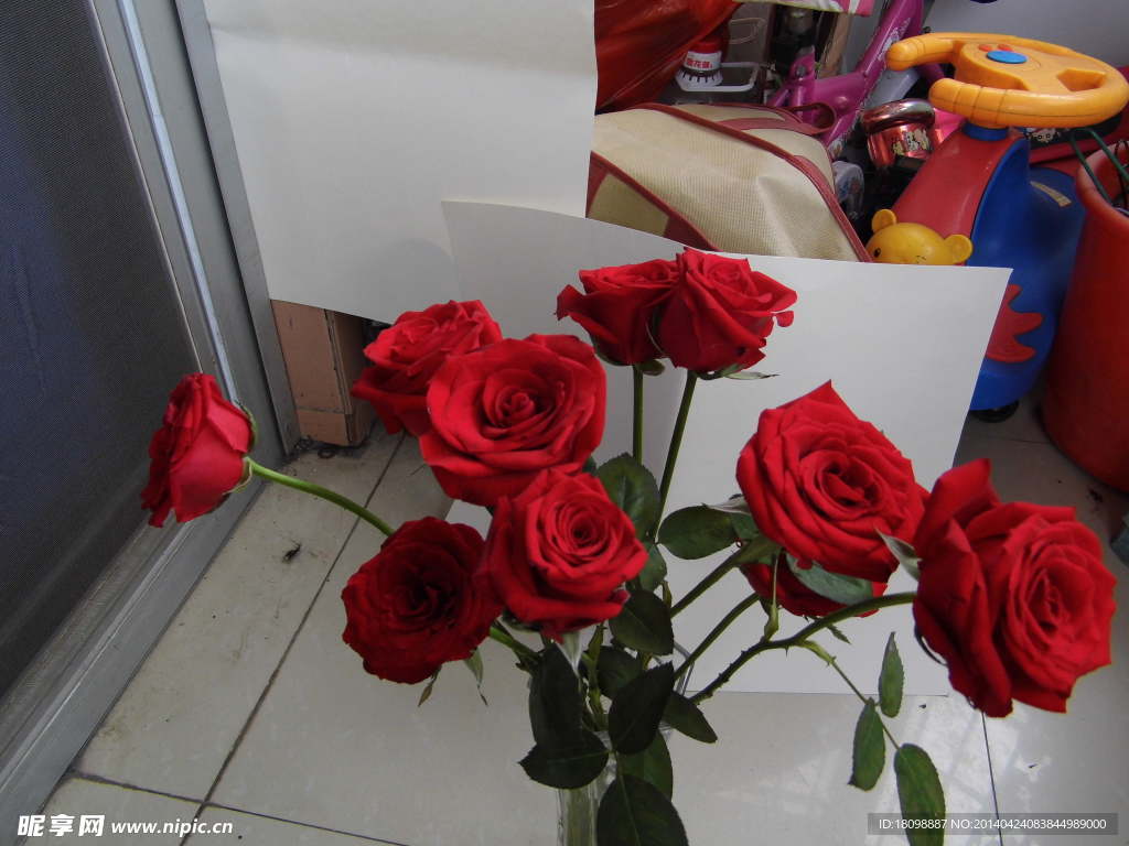 玫瑰花 红花 爱情