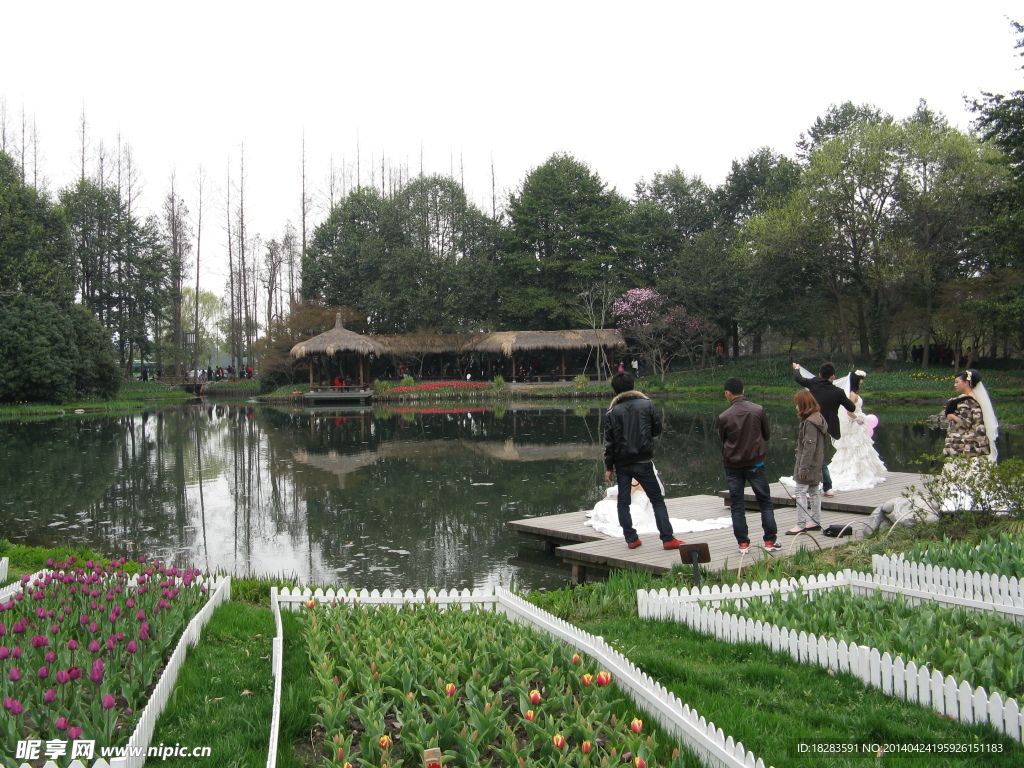 杭州太子湾风景