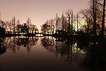 西湖夜景