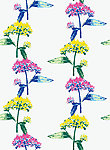 鲜花