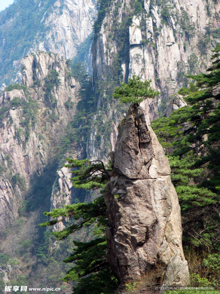 黄山梦笔生花