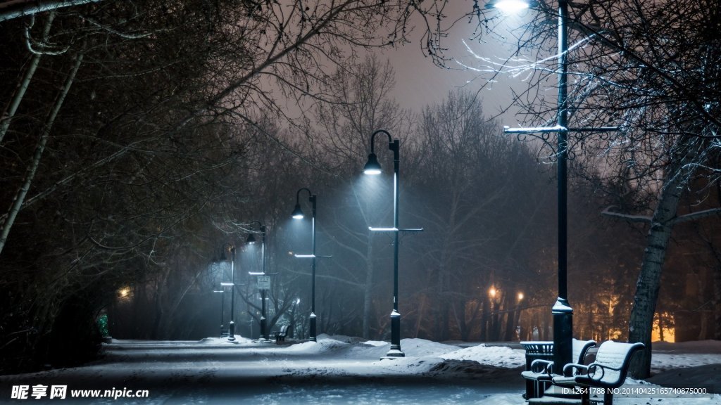 夜晚路灯下雪景