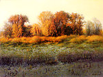 风景油画