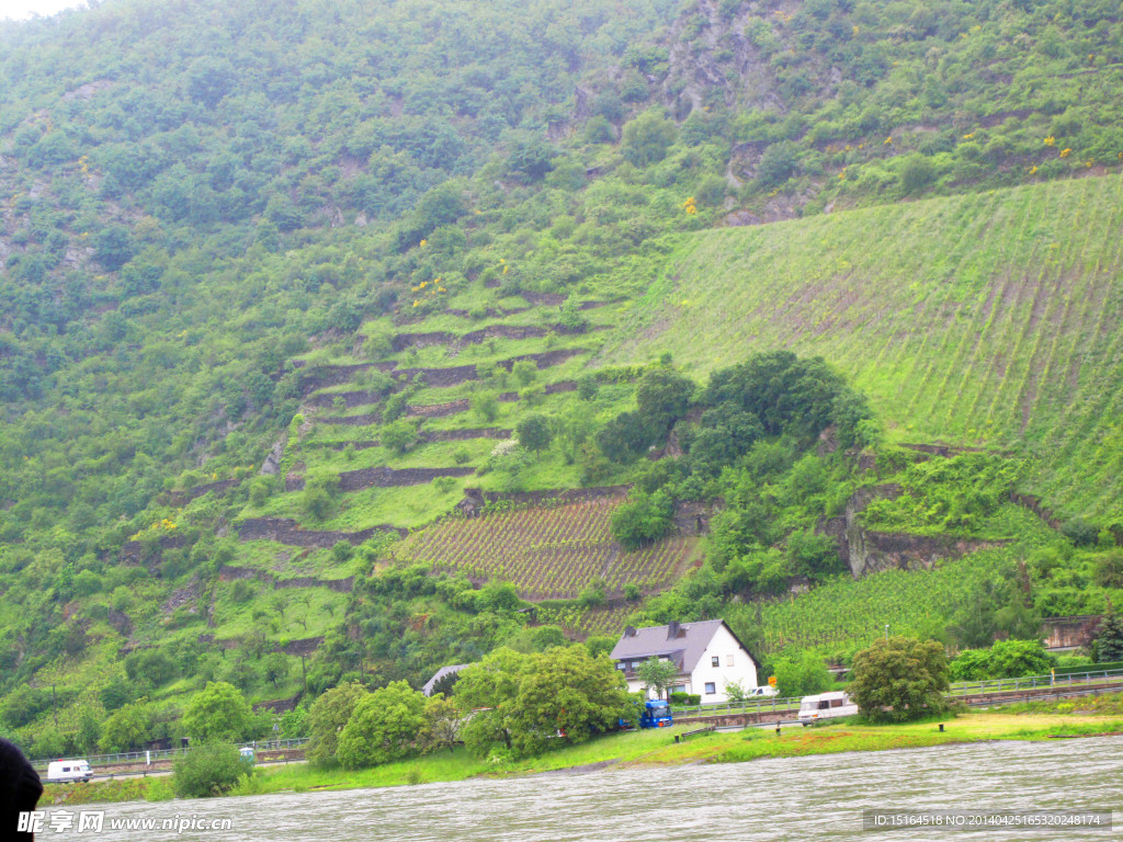 莱茵河风景