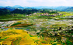 巴平小梯田