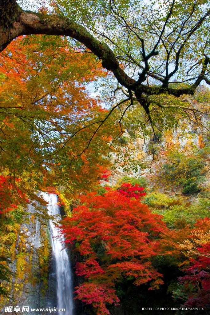风景素材