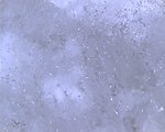水视频素材
