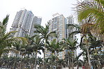 情侣路 海景房