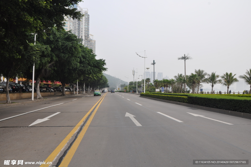 情侣路 马路中间