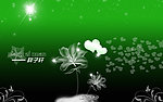 花纹