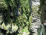 岩鹰洞大峡谷