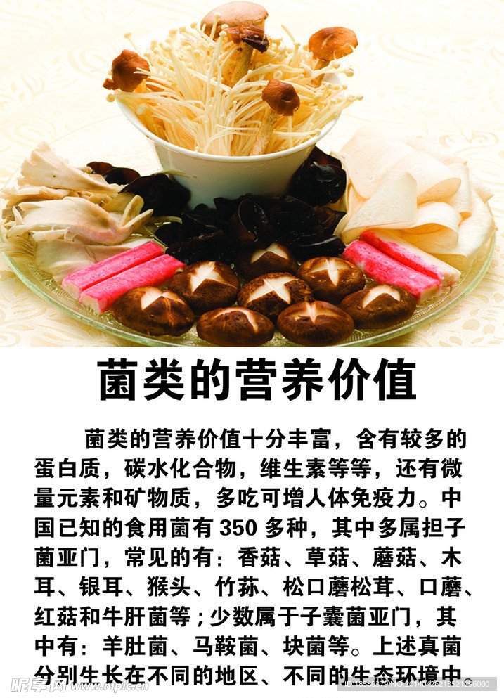 菌类