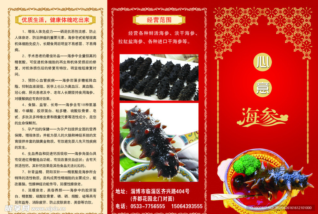 海参三折页