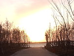 大庆三永湖夕阳