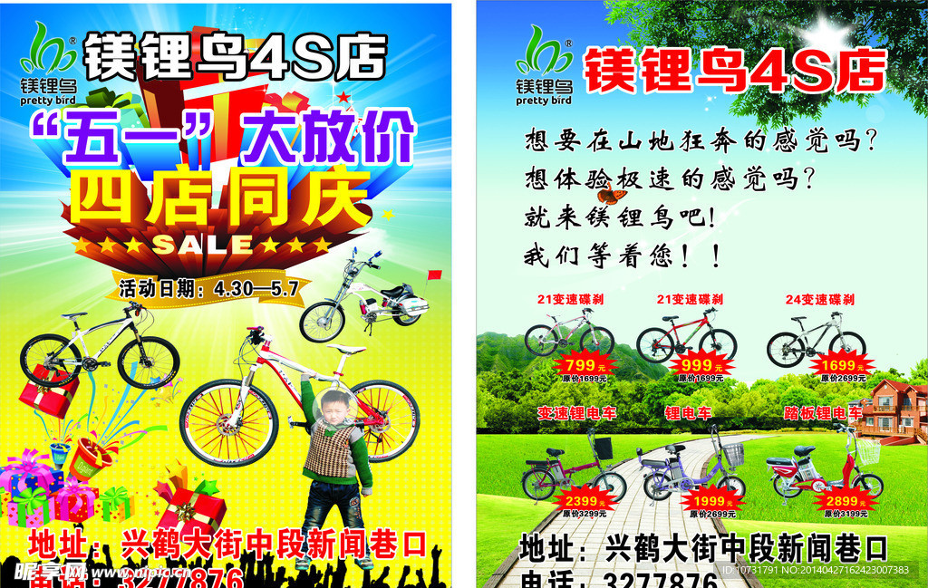 美丽鸟