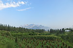 少室山远眺
