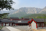 嵩阳风光