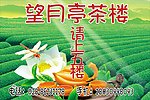 茶楼海报
