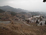 紫鹊界梯田