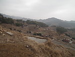 紫鹊界梯田