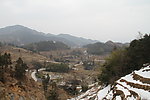 紫鹊界梯田