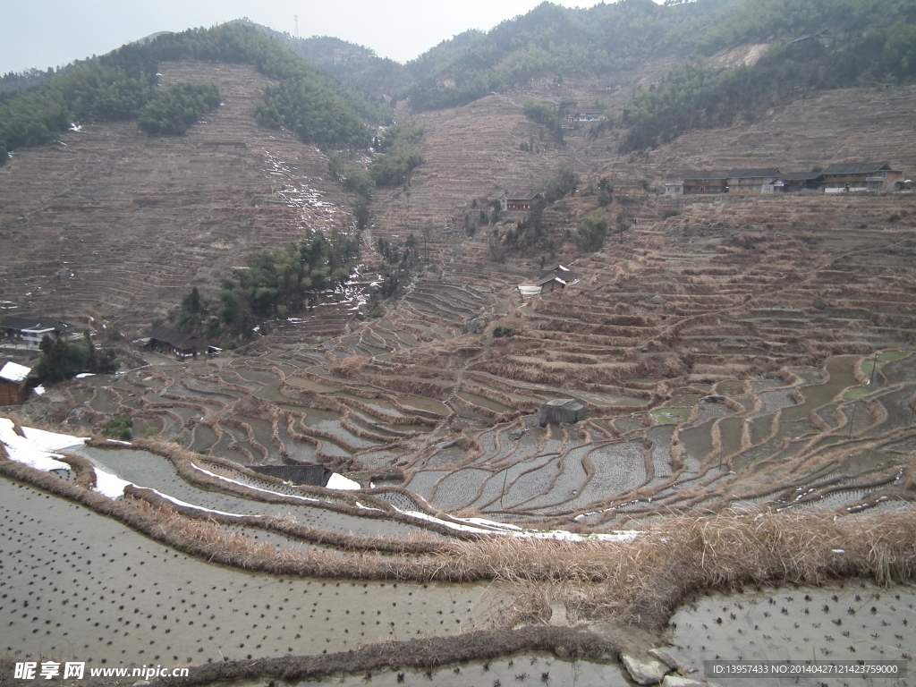 紫鹊界梯田