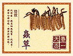 中医文化