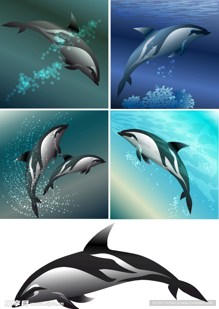 海豚
