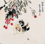 荔枝藤下的猫儿