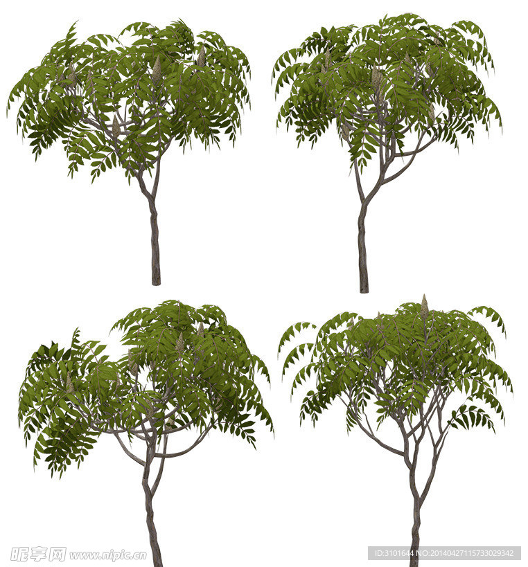 3D鹿角树