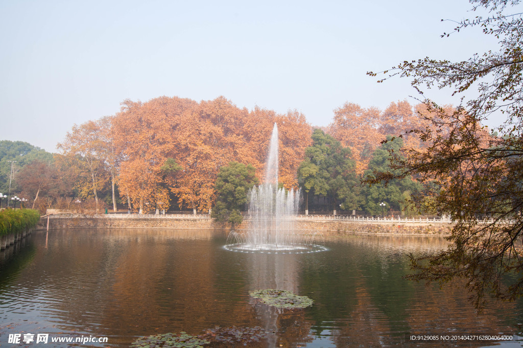 武汉大学