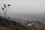 紫鹊界梯田