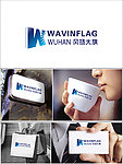 风扬大旗 logo