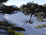 黄山风景迎客松