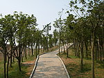 天星广场