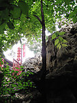 园林风景