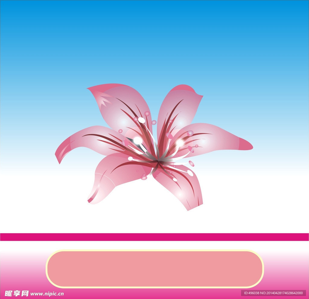百合花