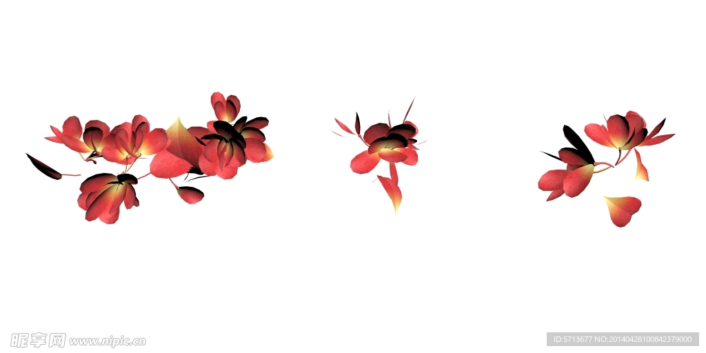鲜花效果图