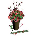 鲜花效果图