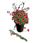 鲜花效果图
