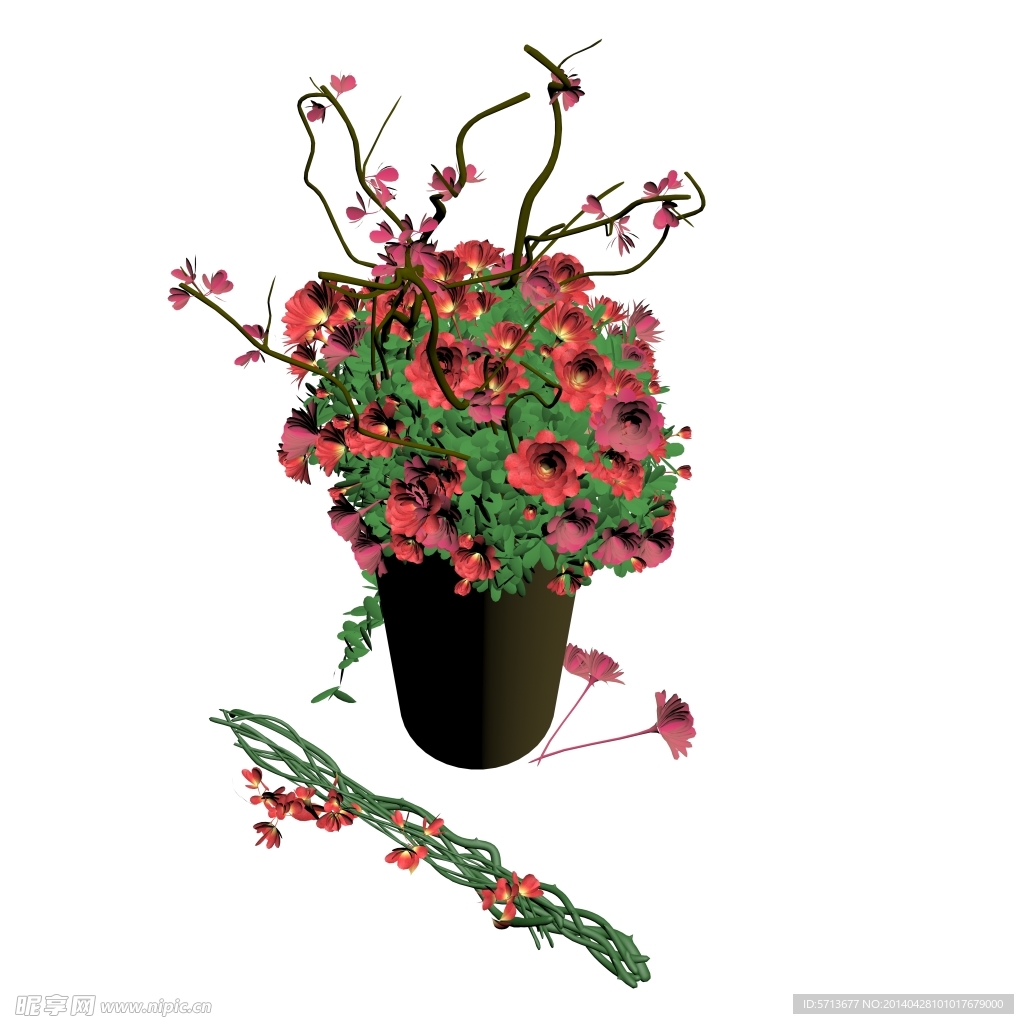 鲜花效果图