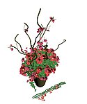 鲜花效果图