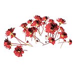 鲜花效果图